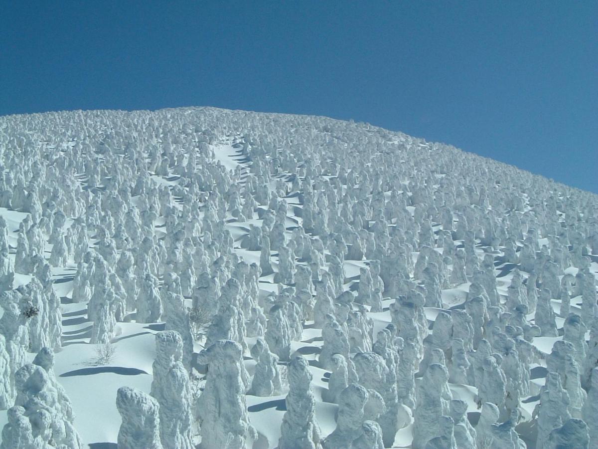 Le Vert Zao Yamagata  Dış mekan fotoğraf